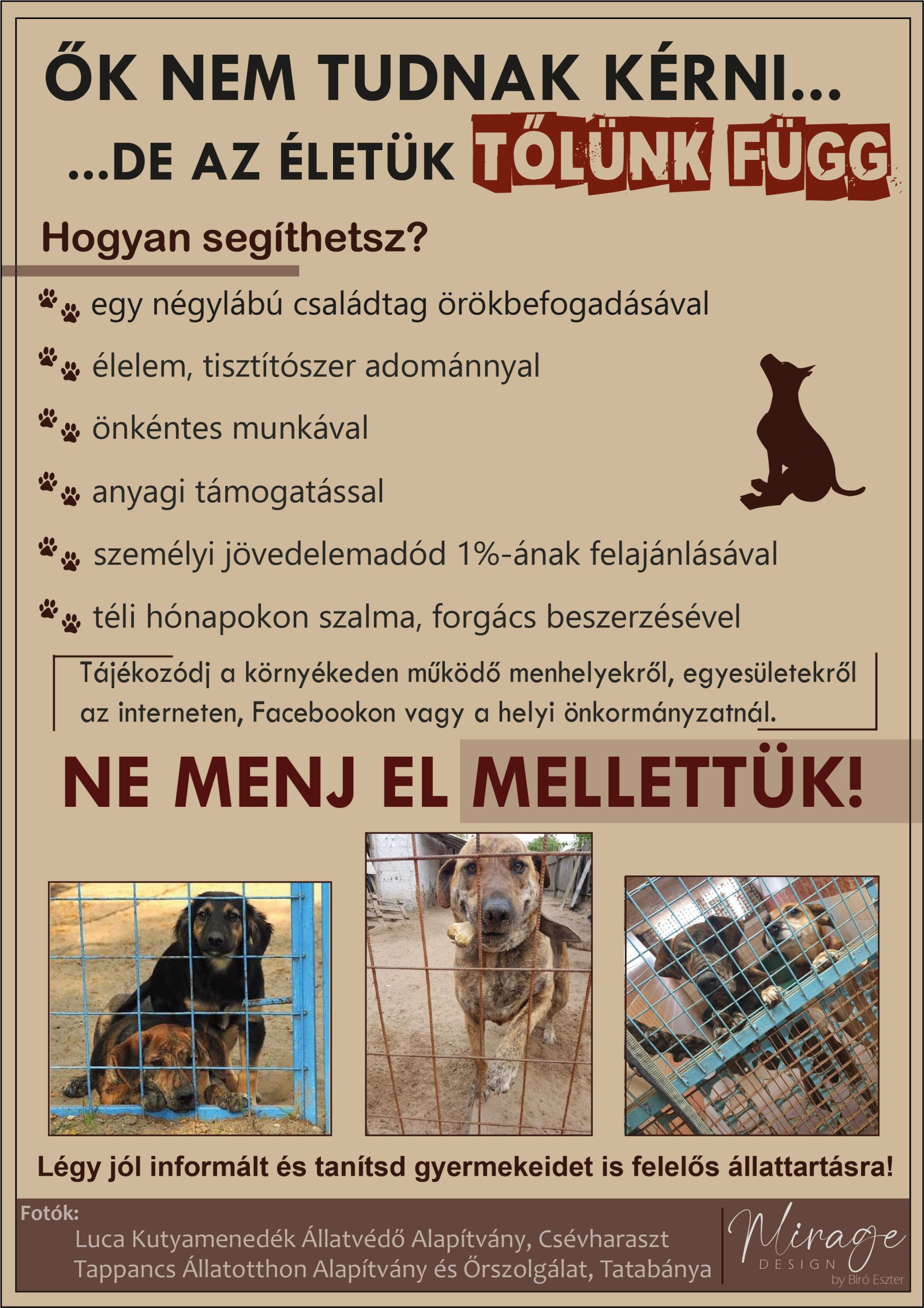 állatvédelem