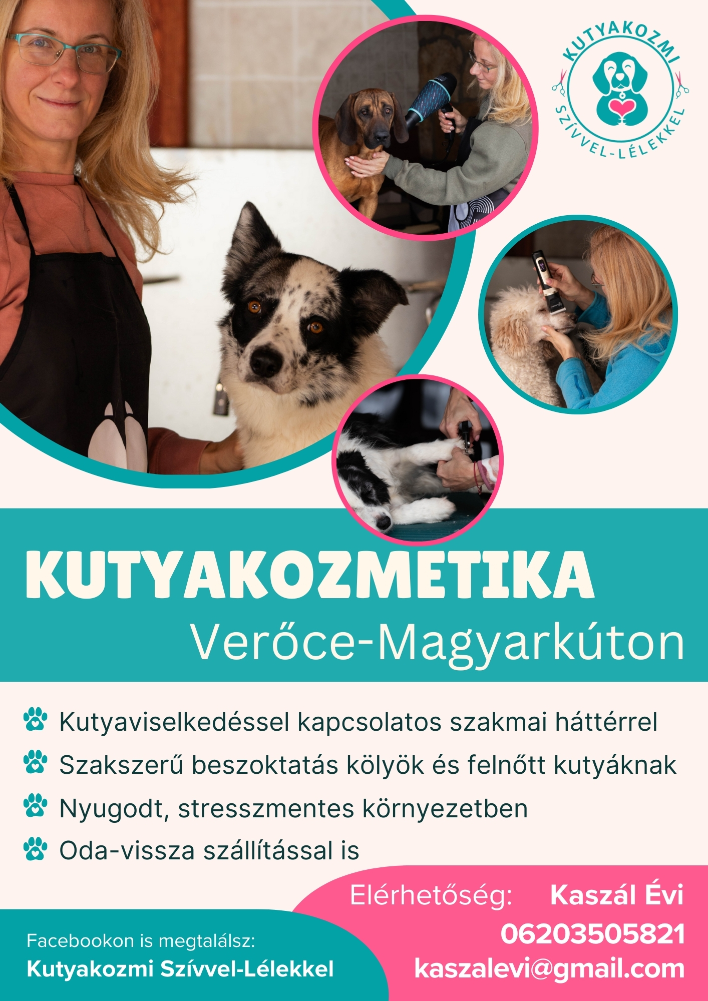 kozmi szórólap